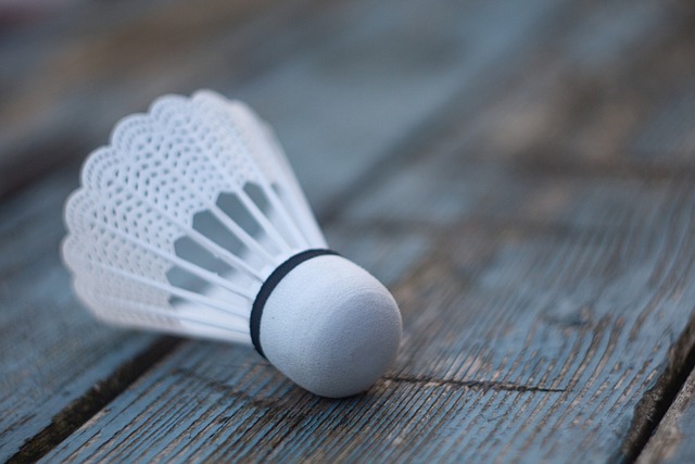 badmintonový míček